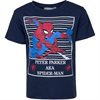 Spiderman T-shirt - Spindelmannen